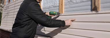 Best Custom Siding Design  in Seal Beach, CA